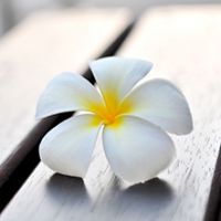 Caffè del benessere