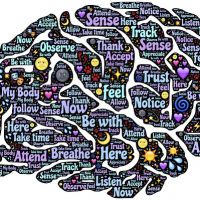 Mindful Emotion Regulation - Approach