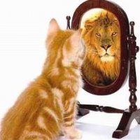 Autostima ed emozioni