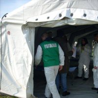 Roger Solomon: "Pronto soccorso psicologico" (Teorie e linee di intervento)