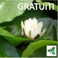 Colloqui orientamento gratuiti al Centro Studi Panta Rei