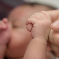 Consulente Perinatale