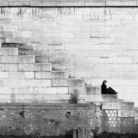 L'Induzione ipnotica