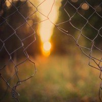 L'Esperienza ipnotica in psicoterapia