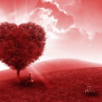 Il disturbo dello spettro dell'autismo: definizione e caratteristiche