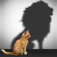 Autostima: rafforza la fiducia in te stesso