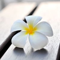 Caffè del benessere