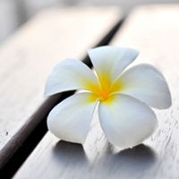 Caffè del benessere