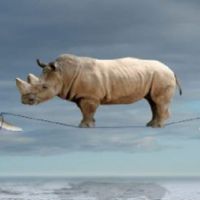 Il coraggio d'esser leggeri