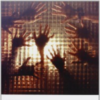 Trauma, attaccamento e sessualit&agrave;