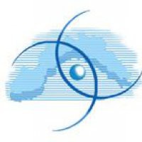 Uomini fragili, risposte violente