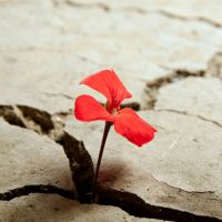 Criminologia e Vittimologia Clinica e Forense