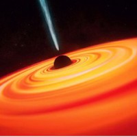 Il desiderio dell'analista