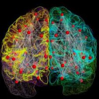 Assessment neuropsicologico in ambito forense