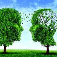 EMDR nelle patologie oncologiche (ECM 15)