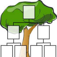 Il genosociogramma  e la sindrome degli antenati. Parola alla psicanalisi