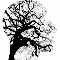 La psicoterapia è...