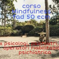 Mindfulness based therapy (FAD -ECM 50)