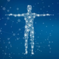 PNEI Psicoendocrinoimmunologia