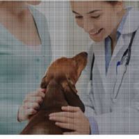 Corso Base per Medici Veterinari (IAA)