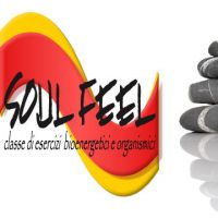 Soul Feel
