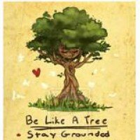 Classi di esercizi bionergetici