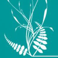 Gnocchi Raffaella - Eventi di formazione/aggiornamento