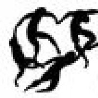 Scuola di Psicoterapia Erich Fromm