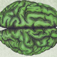 Festival della neuroetica e del cervello sociale (4a ed.)