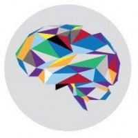 Demichelis Mindroom Srl