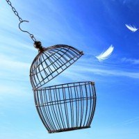 Esercizi di Alexandere Lowen