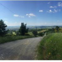 Ecopsicologia, arte e scienza della riconnessione con la Natura