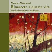 Rinascere a questa vita. Perch&eacute; la resilienza non basta