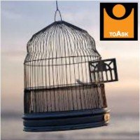 "Cultura della vergogna" o "Cultura della colpa"?