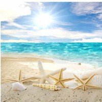 Incontri esperenziali di Bioenergetica