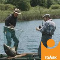 Filmestate: Il mio amico giardiniere