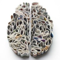 La mente se non la usi la perdi (gruppi di Brain Training)