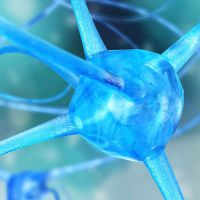 Diagnosi e interventi sul trauma secondo la prospettiva polivagale