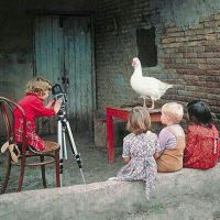 Le fotografie in seduta. Casi clinici e Supervisione