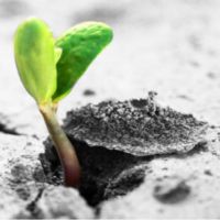 Resilienza e psicoterapia