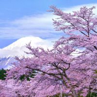 La Mindfulness per la Consapevolezza e il Benessere psicofisico