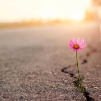 La vera rinascita comincia da dentro