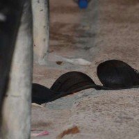 Ragazze stuprate: l'educazione può avere un ruolo?