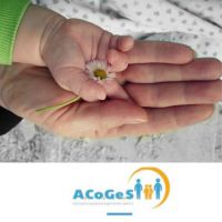 La coordinazione genitoriale sistemica