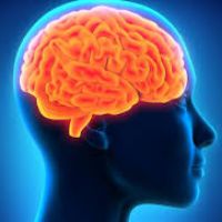 Training di potenziamento della memoria