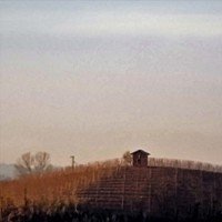 La solitudine come patto di lealtà