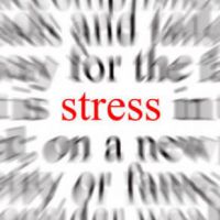 La valutazione del rischio stress lavoro correlato... (VI ed.)