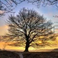 Misurare, riconoscere, trascendere: alla sorgente del senso della vita