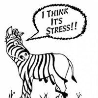 Strategie di gestione dello stress