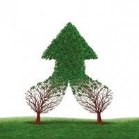 La psicoanalisi: per una politica desegregativa